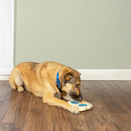 PetSafe Forever Bone