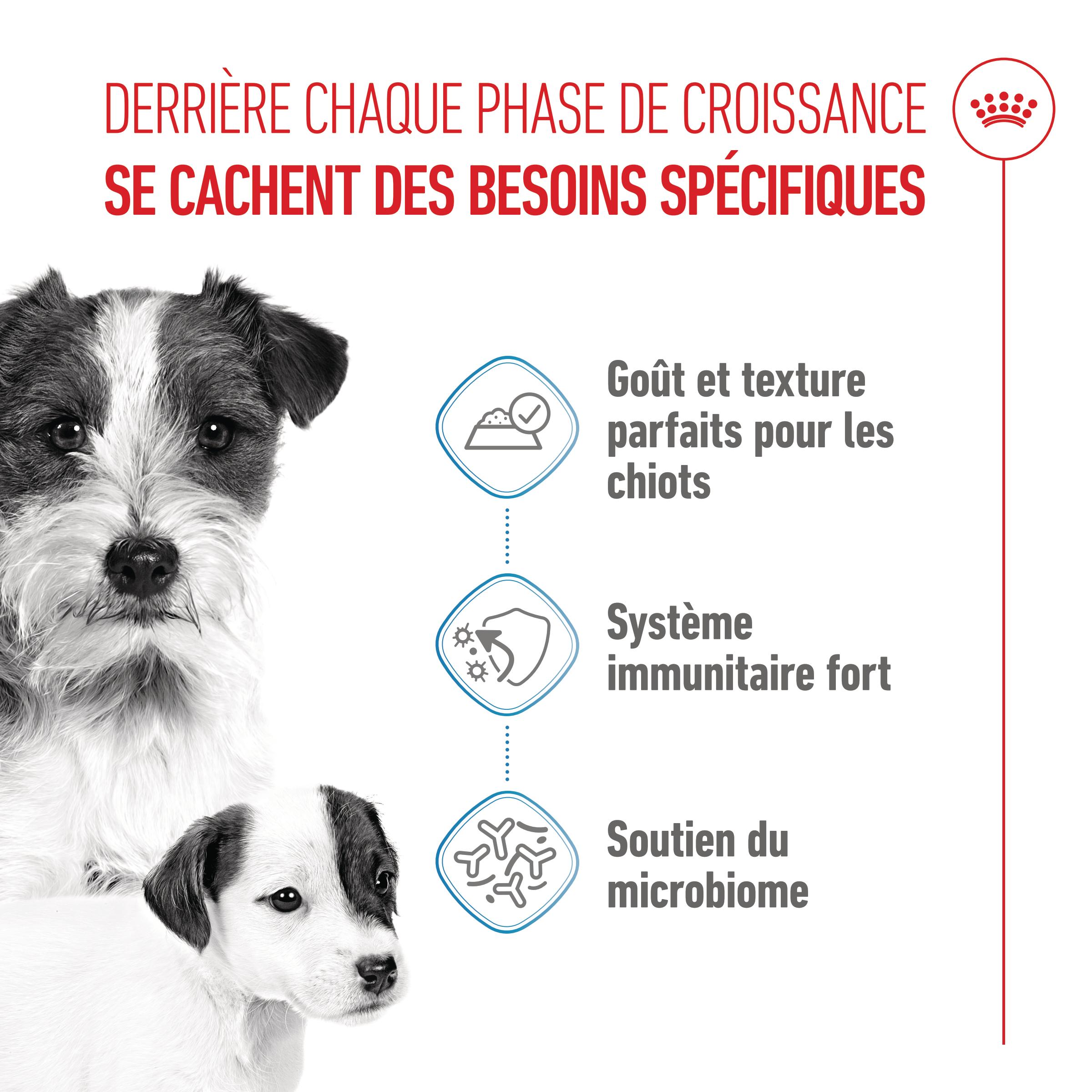 Royal Canin Starter Mousse Mother & Babydog - Boîte
