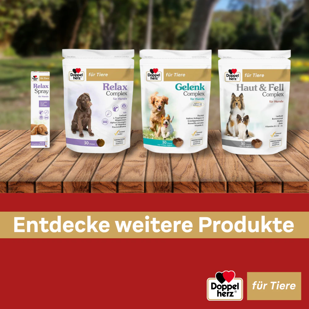 Doppelherz Gelenk Complex für Hunde