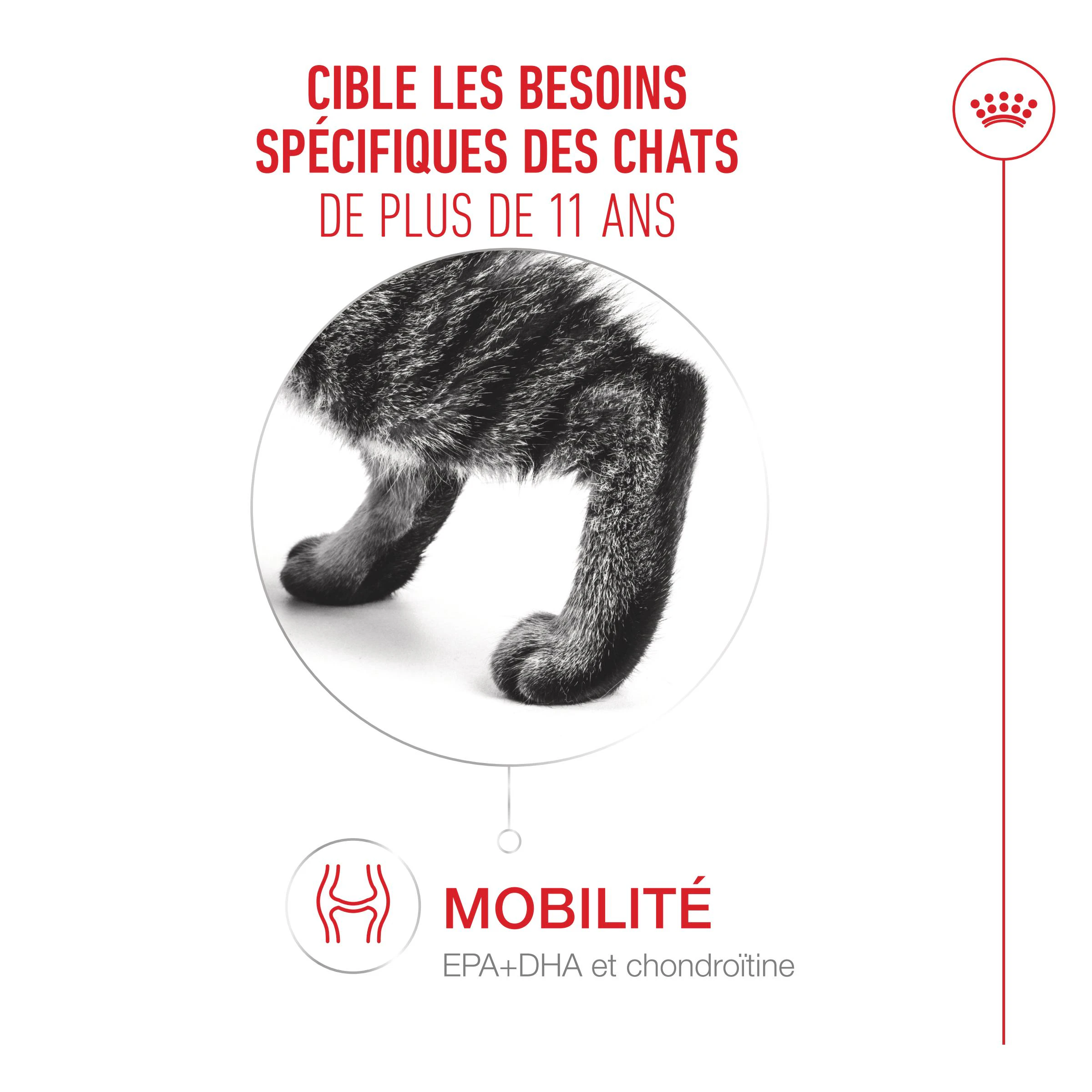 Royal Canin Ageing 11+ Mousse - Nourriture pour chats
