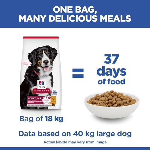 Hill's Science Plan - Large Breed - Adult - Chicken