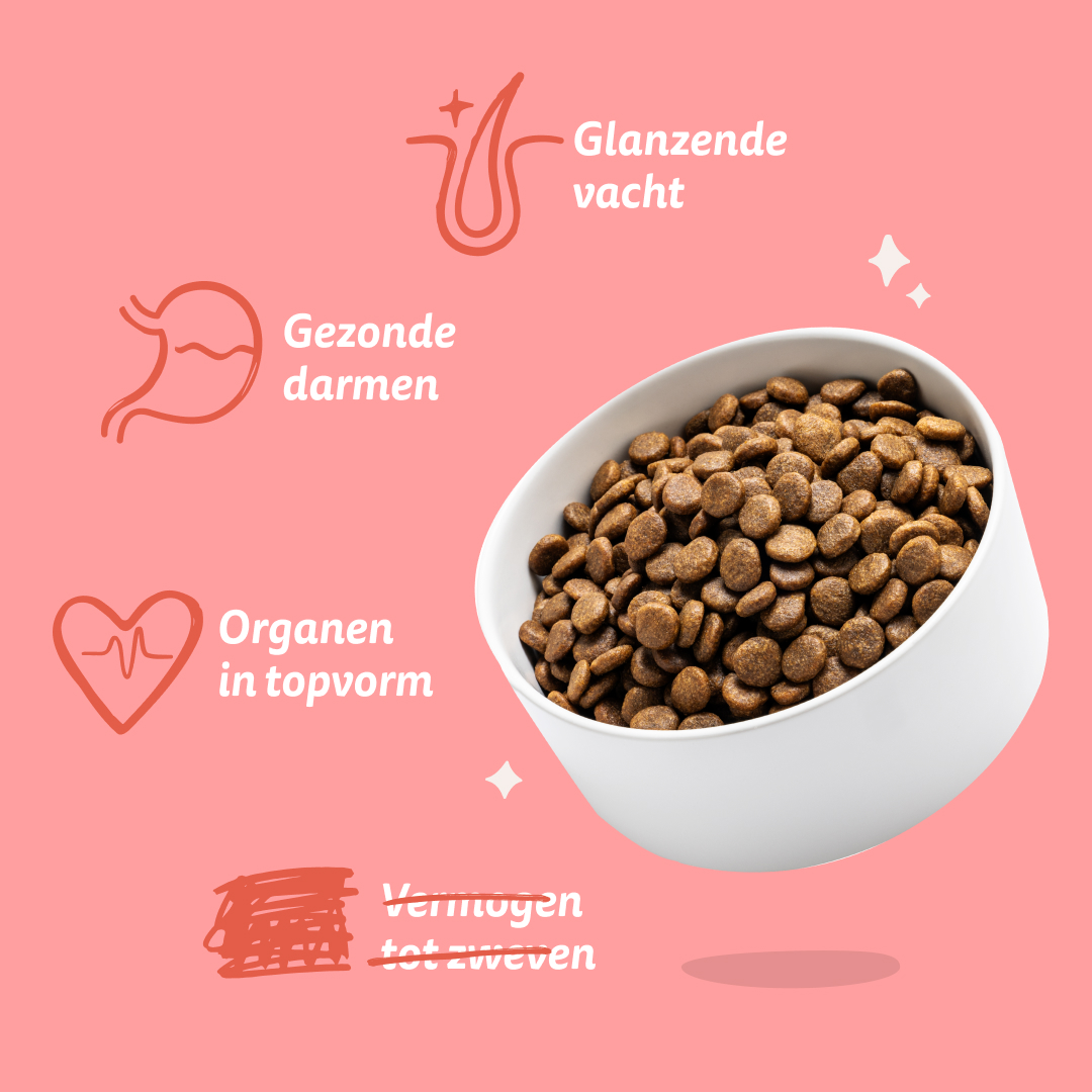 Edgard & Cooper Senior - Kip & Zalm