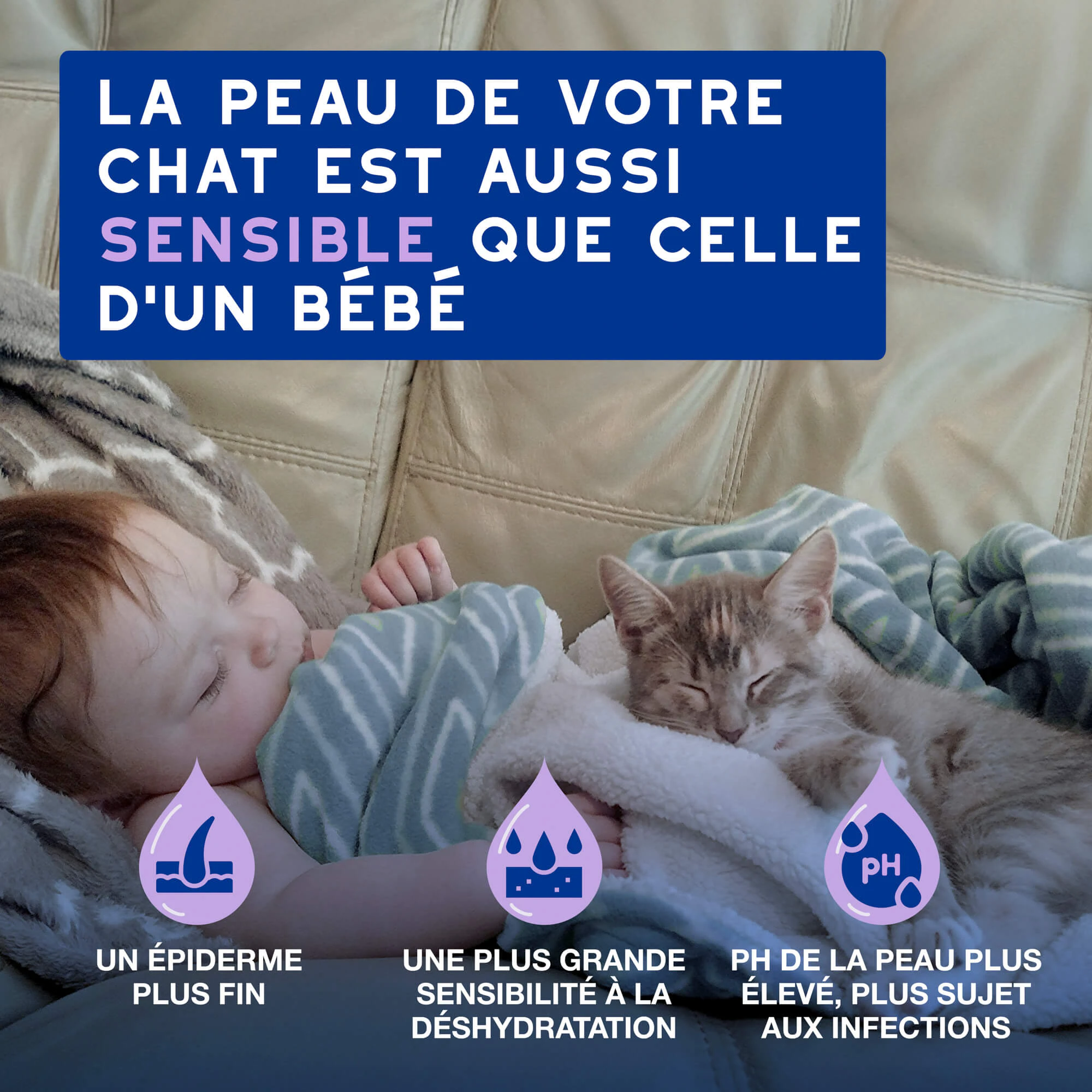 Douxo Spa Cat Mousse - Mousse de soin quotidien pour chats