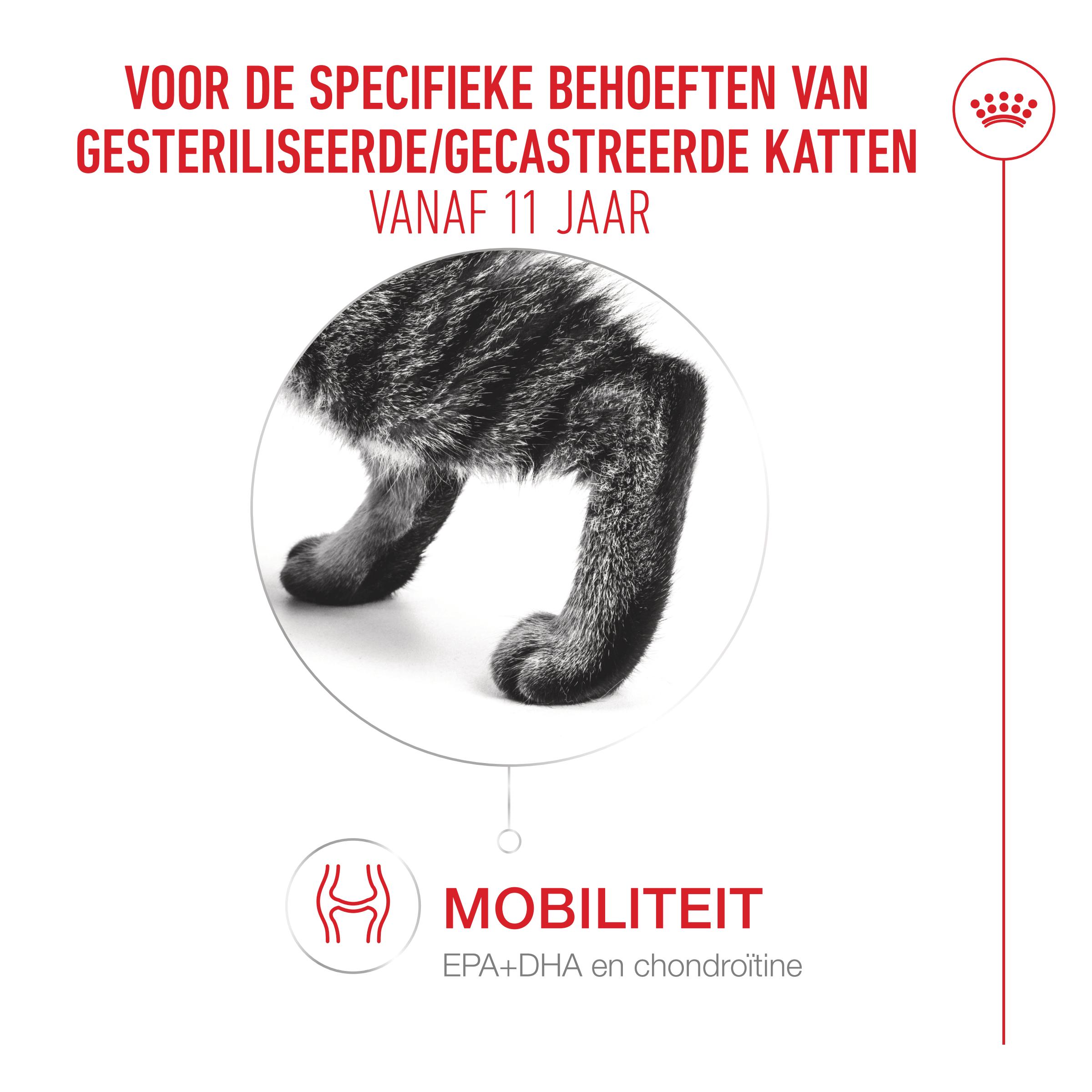 Royal Canin Ageing 11 Brokjes in Saus Natvoer voor Katten 12x85g Royal Canin Health Nutrition