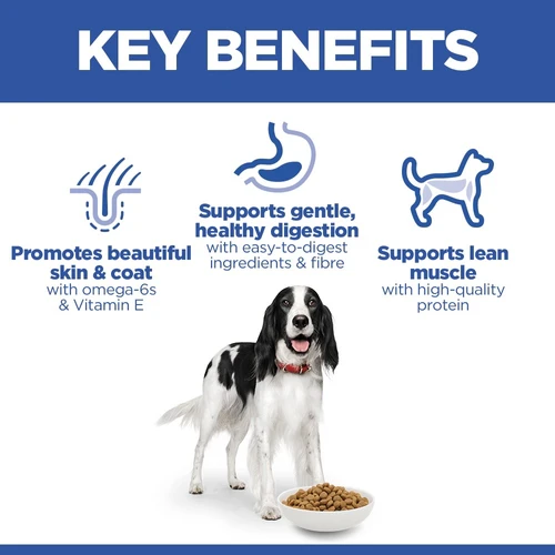 Hill's Science Plan - Medium - Adult - Chicken