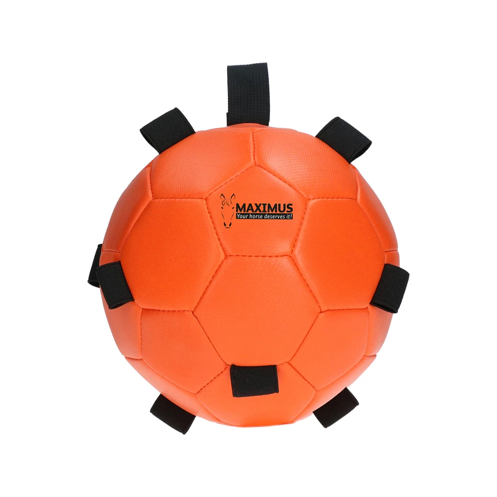 Excellent Horse Fun Play Ball
