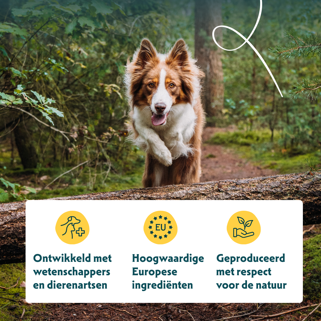 Yarrah - Hondensnack Vega Hondenkoekjes Multi Kleine Honden Bio