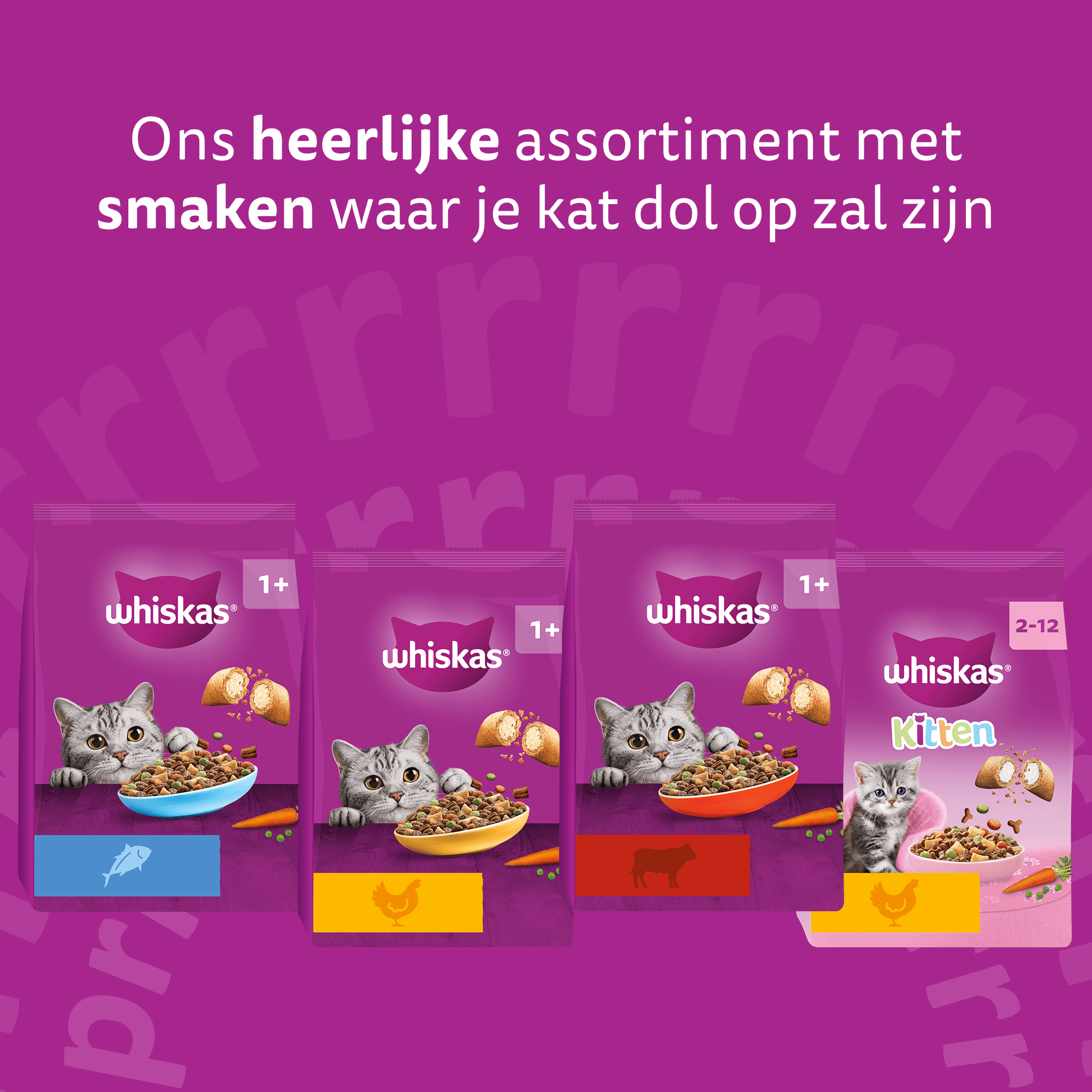 Whiskas Droog Adult Box