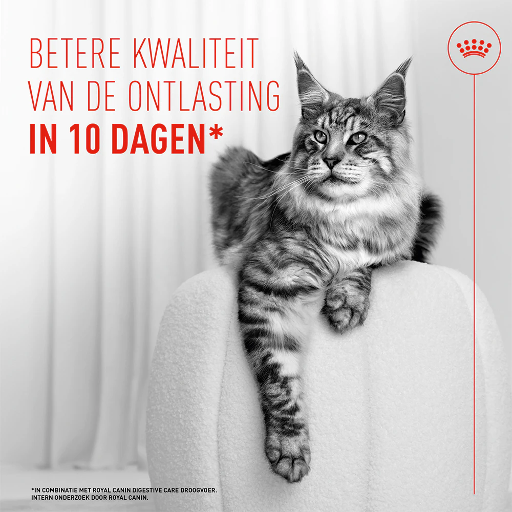 Royal Canin Digestive Care Mousse - Kattenvoer