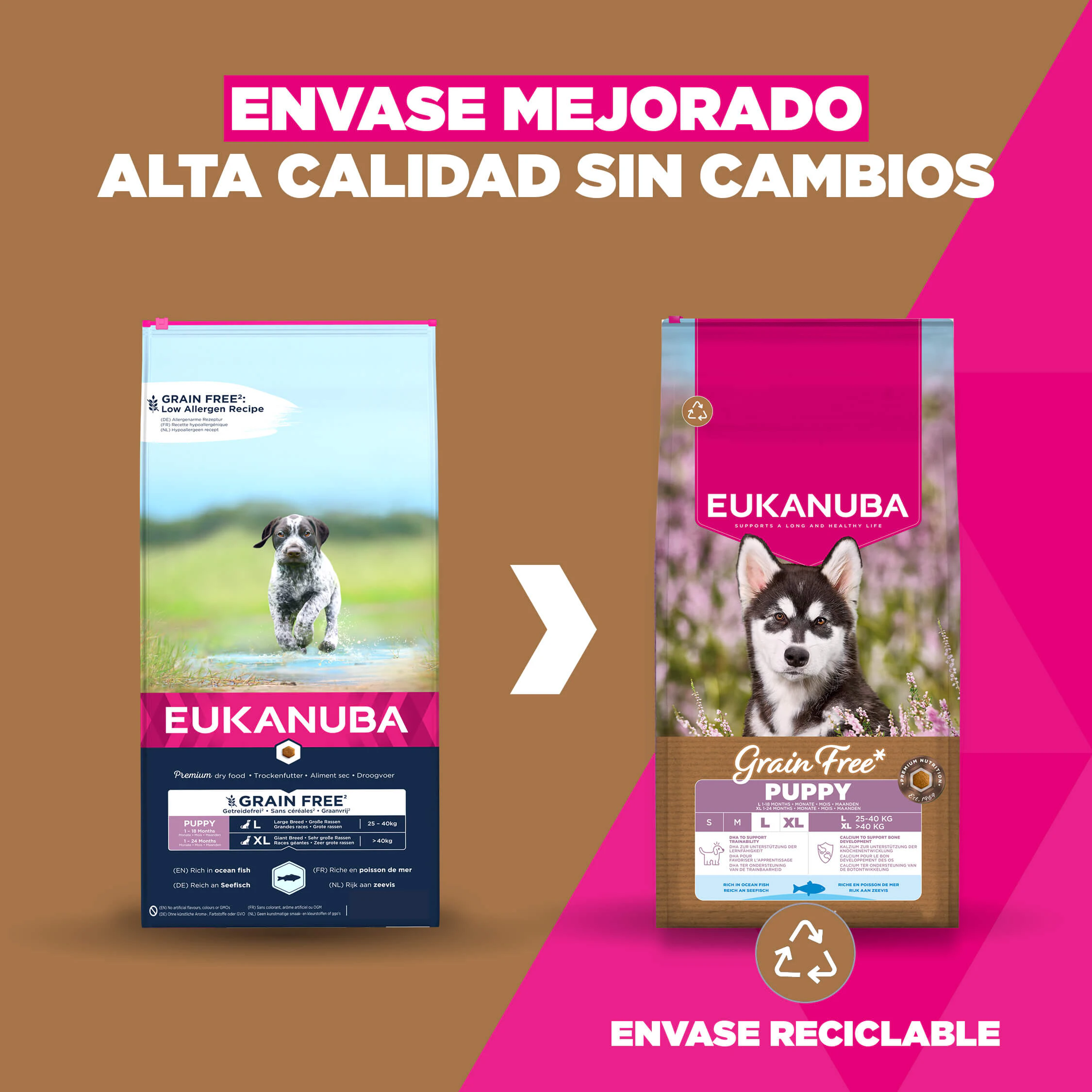 Eukanuba Dog Junior Large Grainfree Comida para Perros