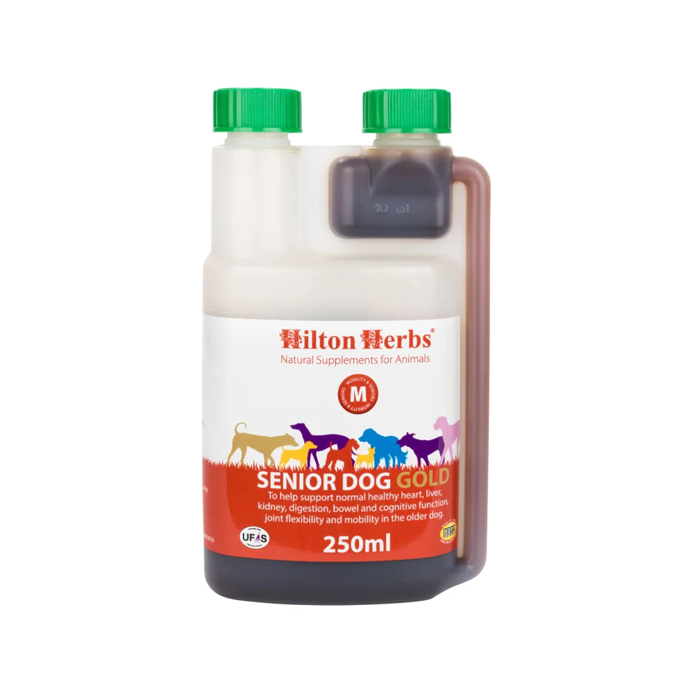 Hilton Herbs Senior Gold pour Chiens