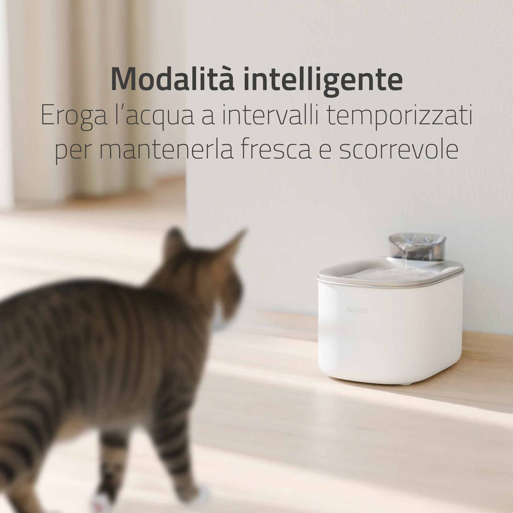 Hombli Smart Fontana per Bere