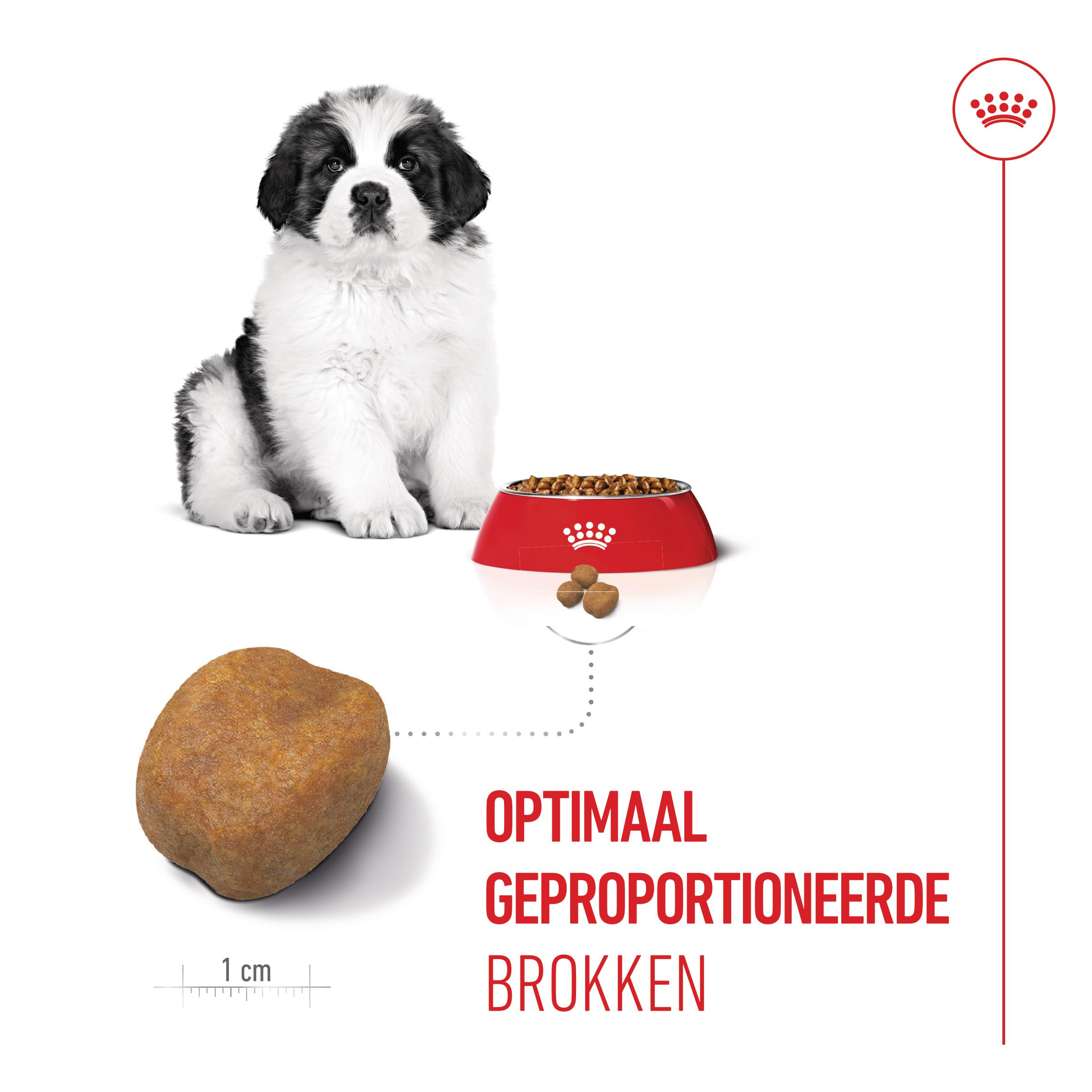 Royal Canin Giant Puppy - Hondenvoer