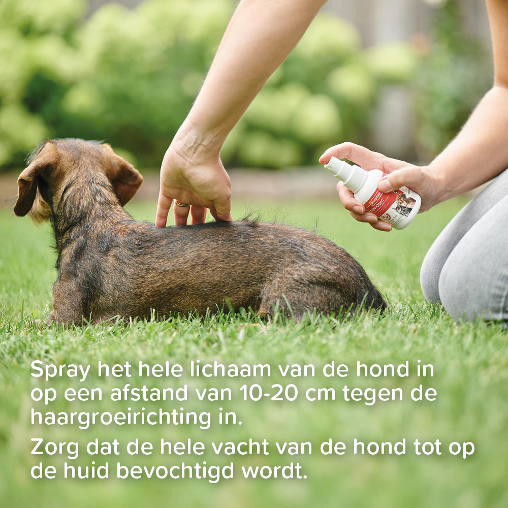 Beaphar Fiprotec Spray