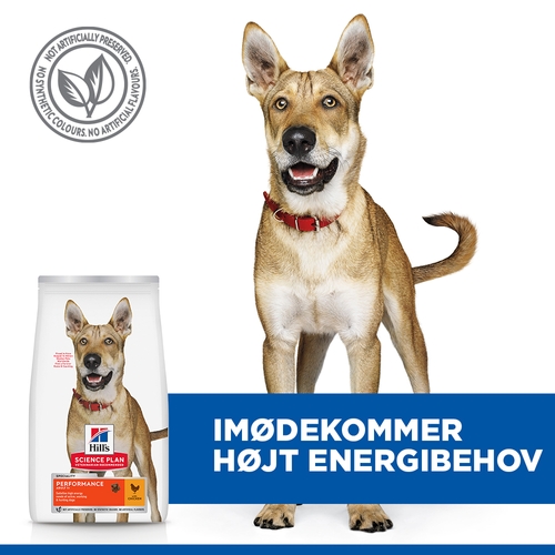Hill's Science Plan Adult Performance Hundefoder