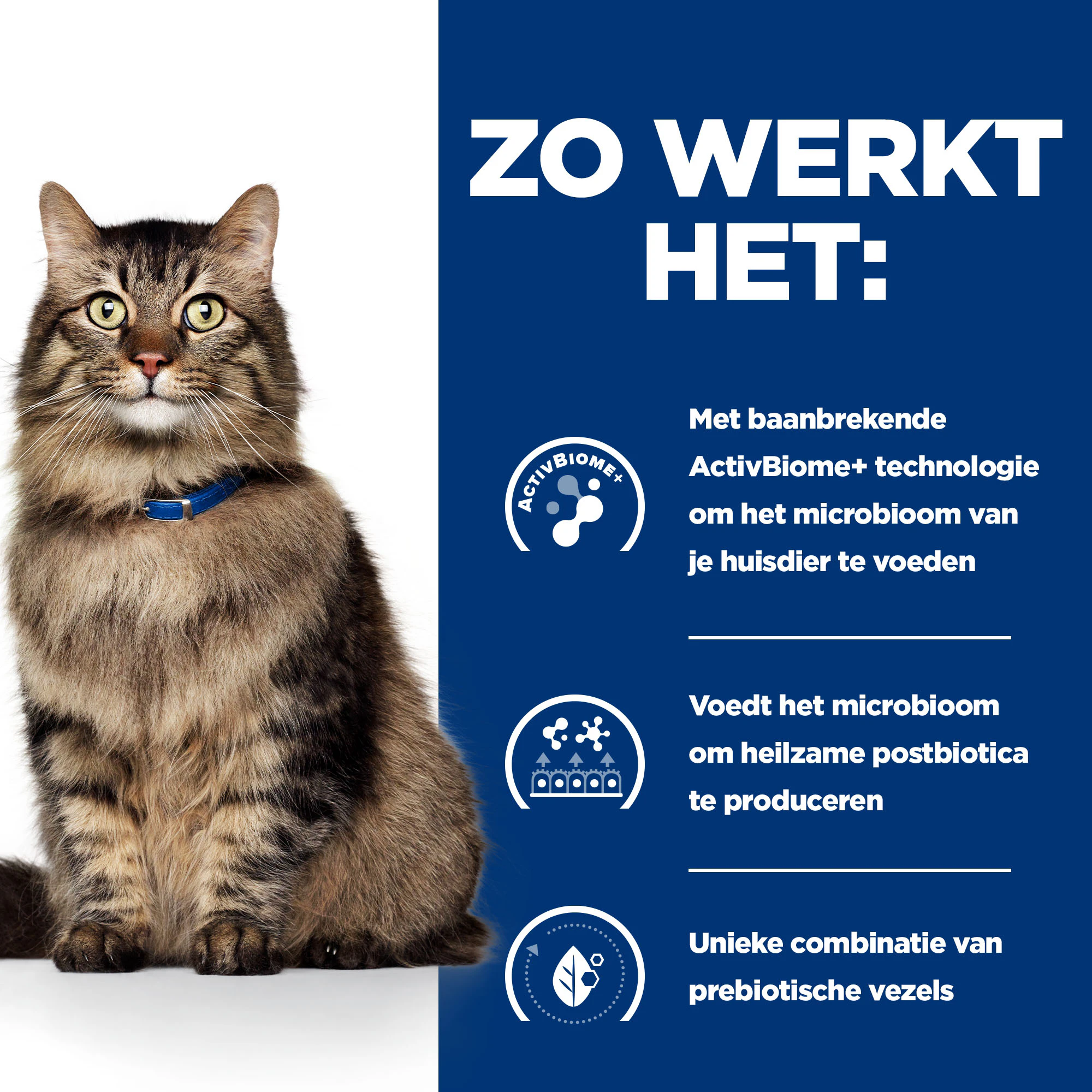 Hill's Prescription Diet - Gastrointestinal Biome - Feline - Natvoer