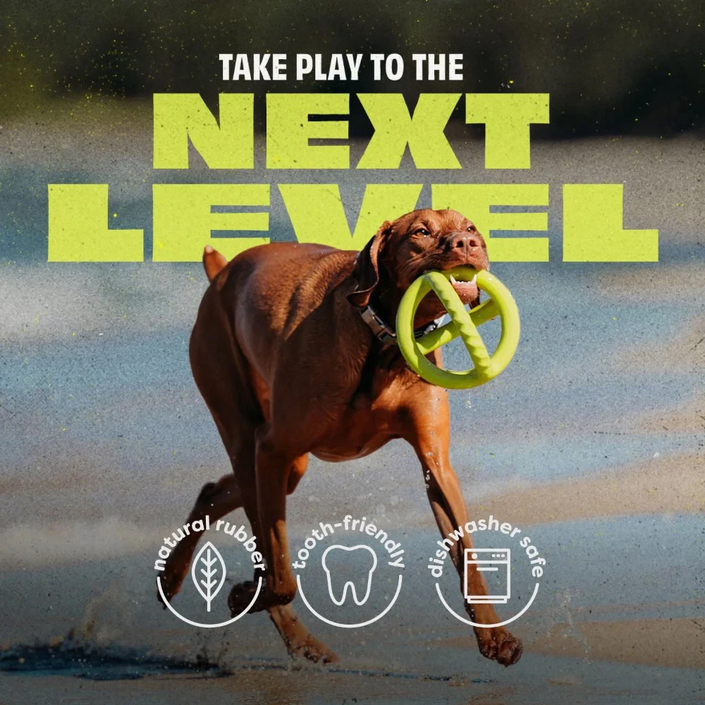 Benebone Bounce Tug Ball