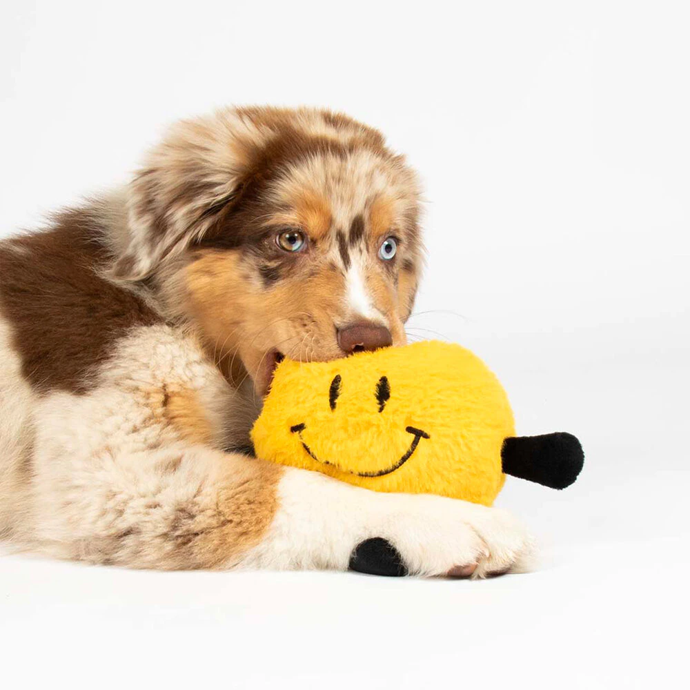 Coockoo Bouncy Buddy