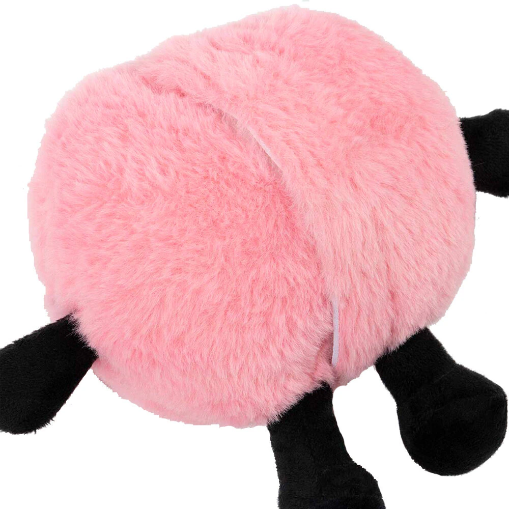 Coockoo Bouncy Buddy