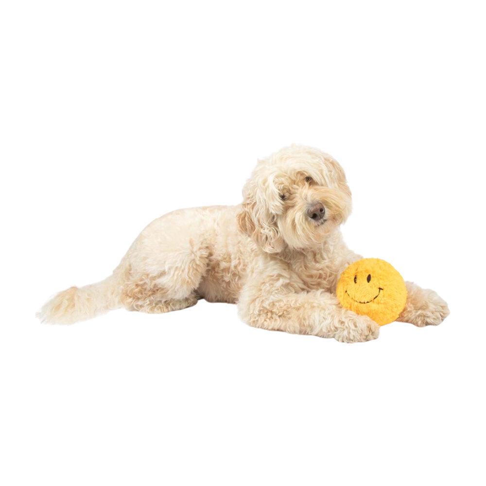 Coockoo Giggly Gary Hundespielzeug