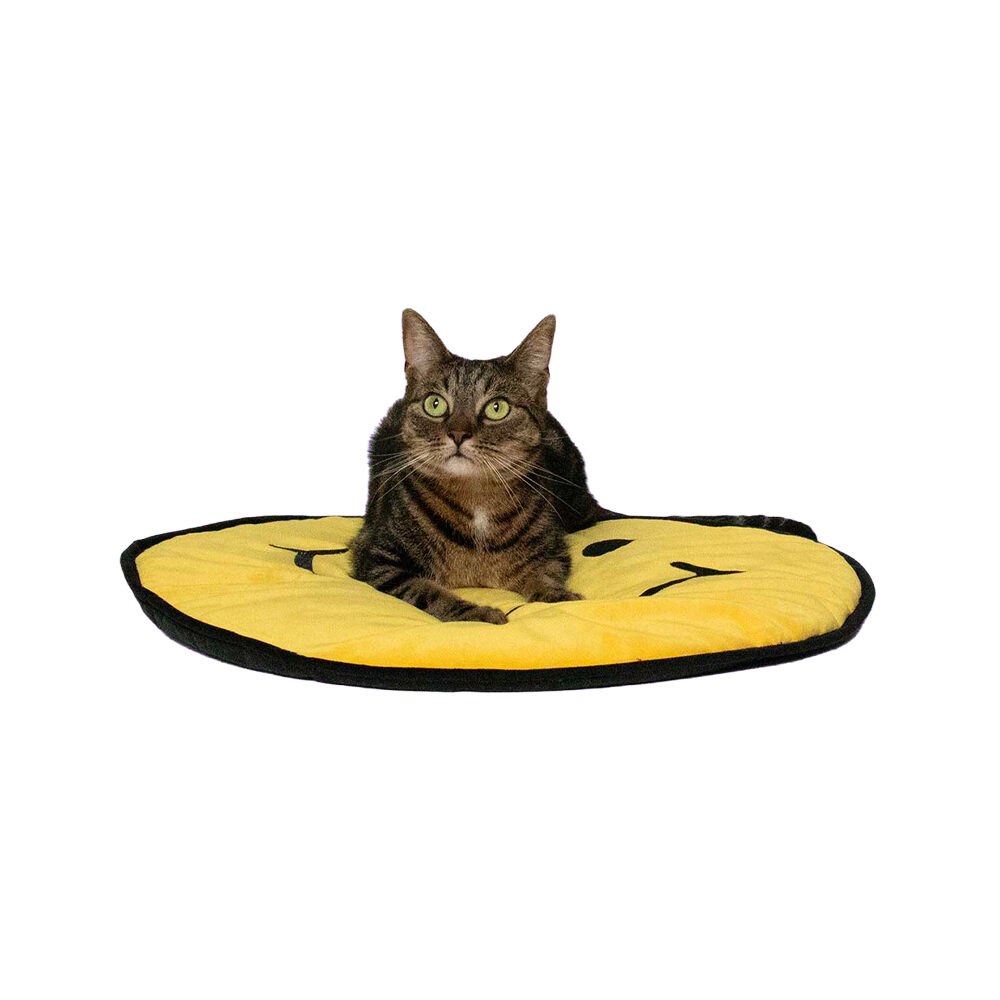 Coockoo Katzendecke Big Smile