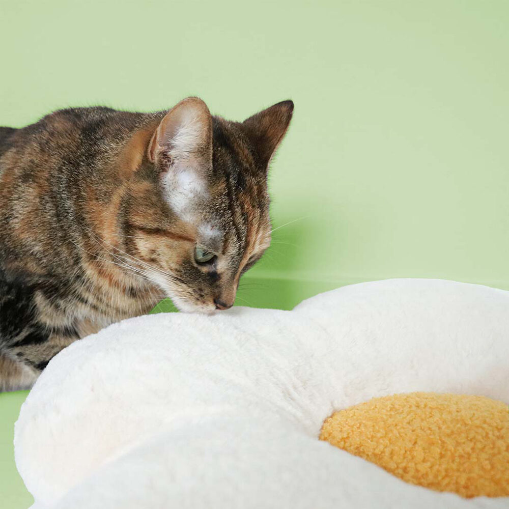 Coockoo Lazy Daisy Kissen