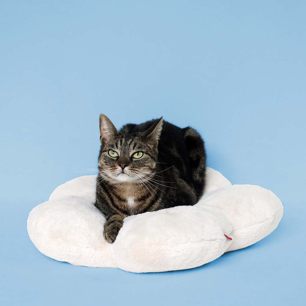 Coockoo Lazy Daisy Kussen