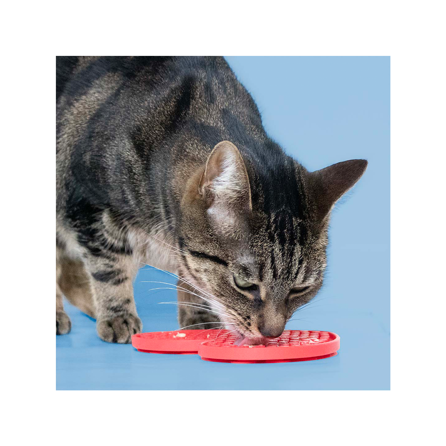 Coockoo Schleckmatte Cupid’s Cravings