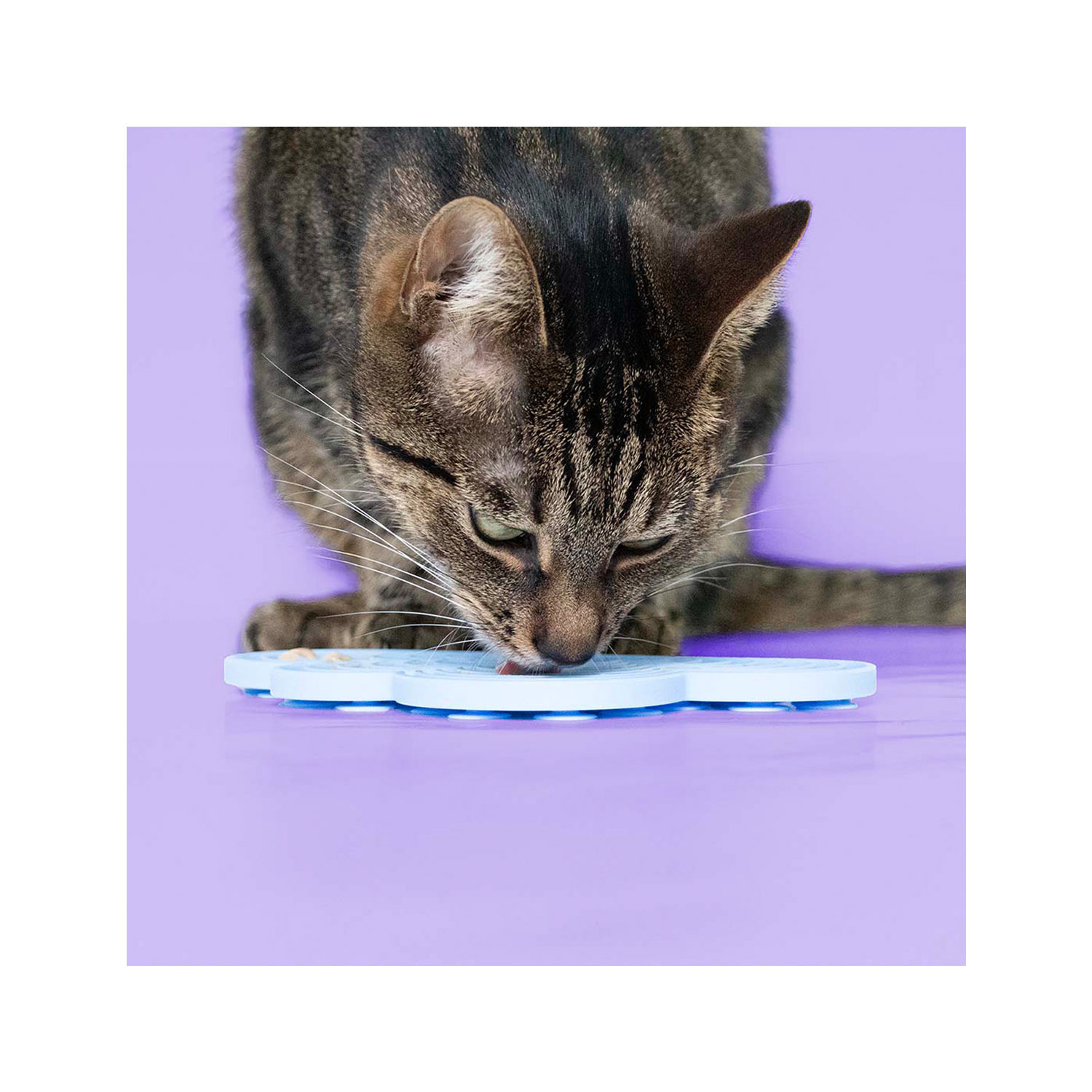 Coockoo Schleckmatte Snacks in the Sky