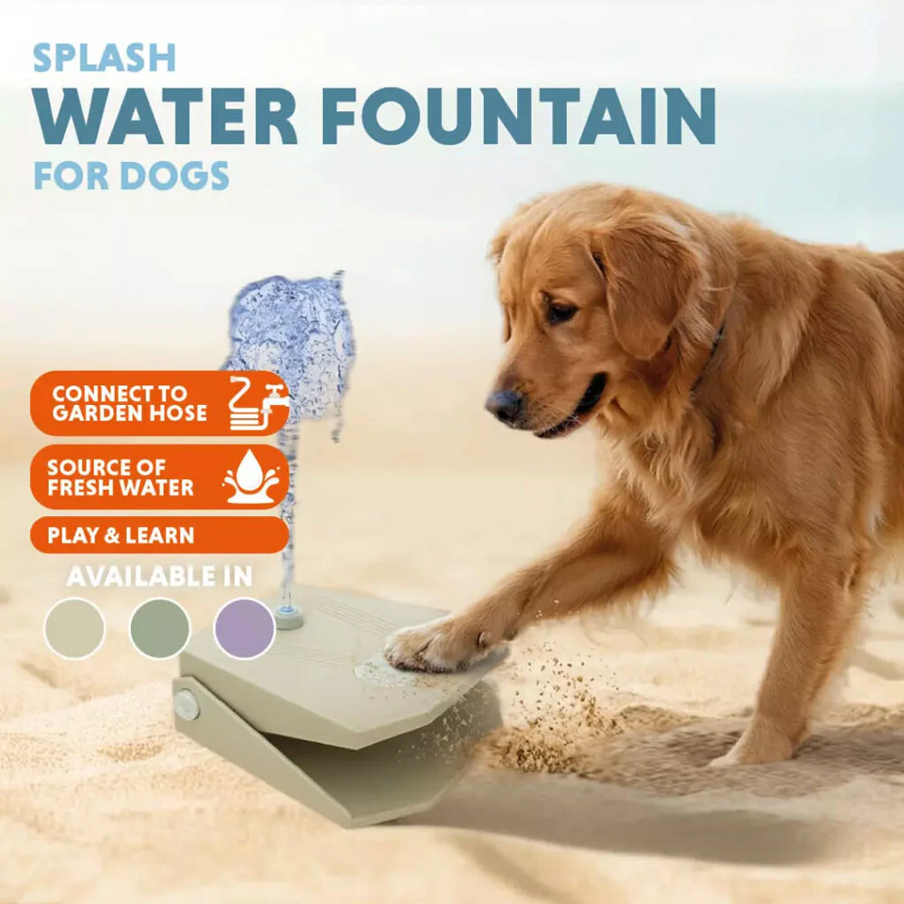 Coolpets Splash Water Fountain