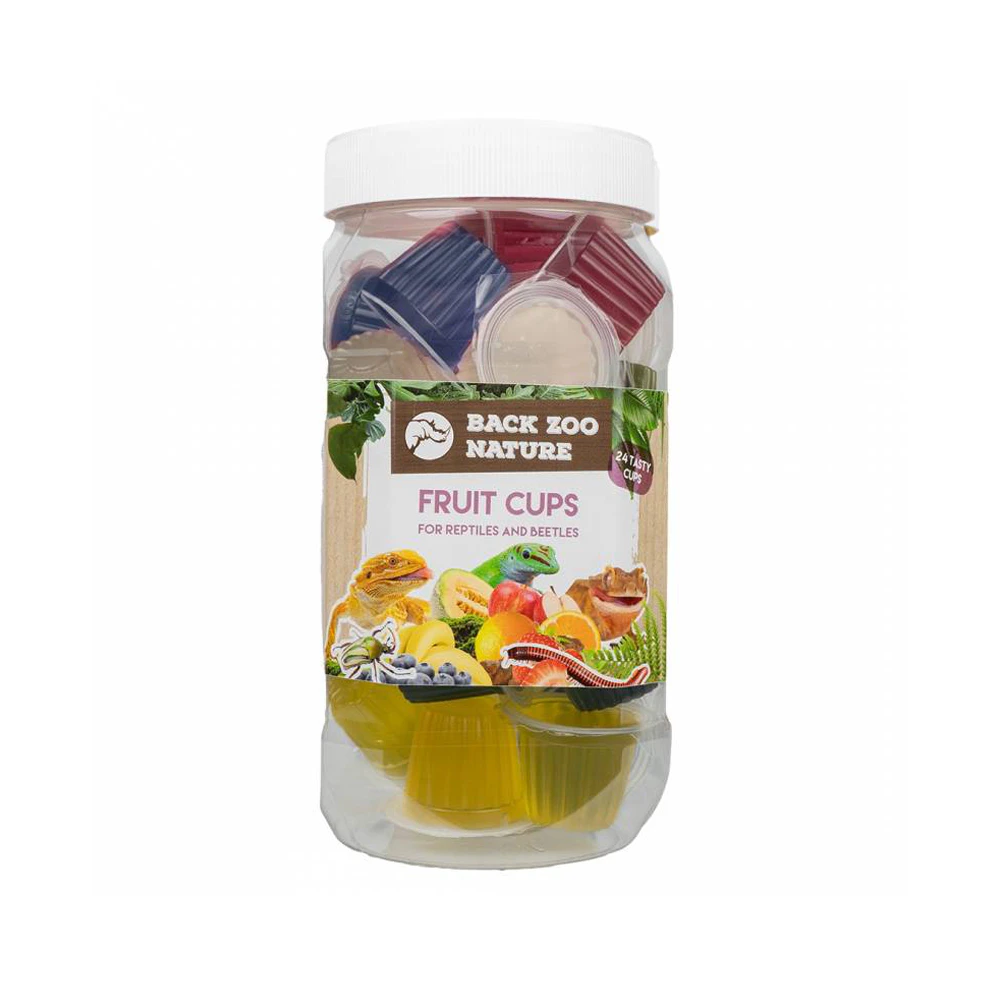 Back Zoo Nature Fruit Cups Reptilien & Käfer