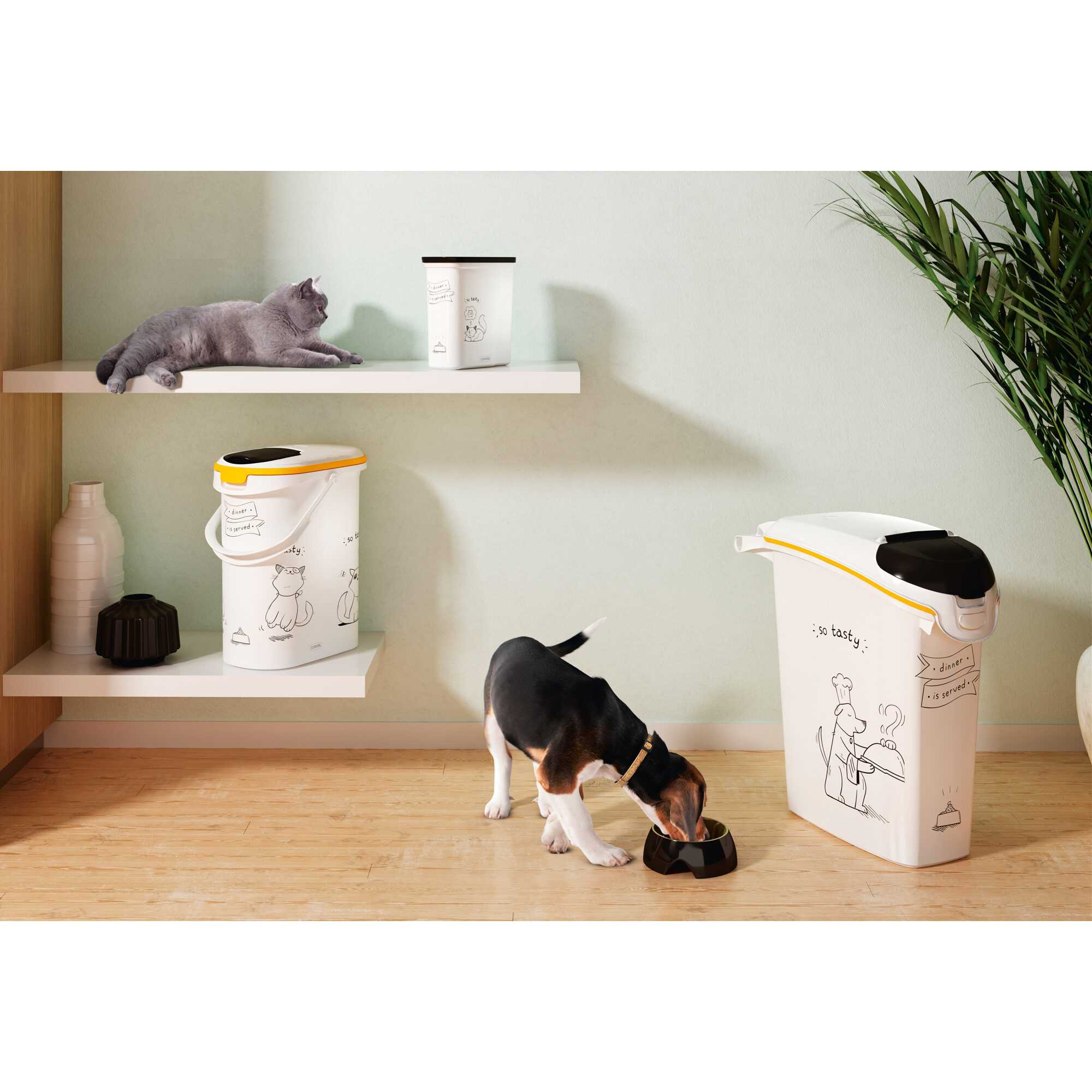 Curver Food Container DIS for Cats
