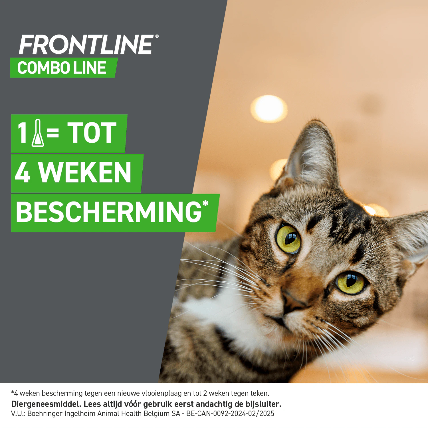 Frontline Combo Line Kat