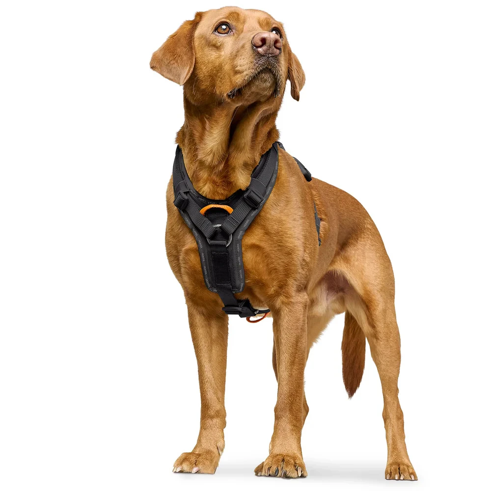 Hunter ErgoMove Pro Harness - Schwarz - XS