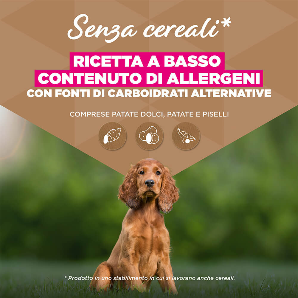 Eukanuba Dog Puppy Small/Medium Grainfree Cibo per Cani