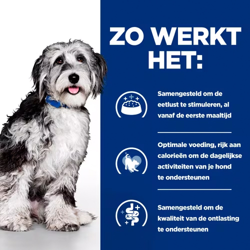 Hill's ON-Care Stoofpotje - Prescription Diet - Canine