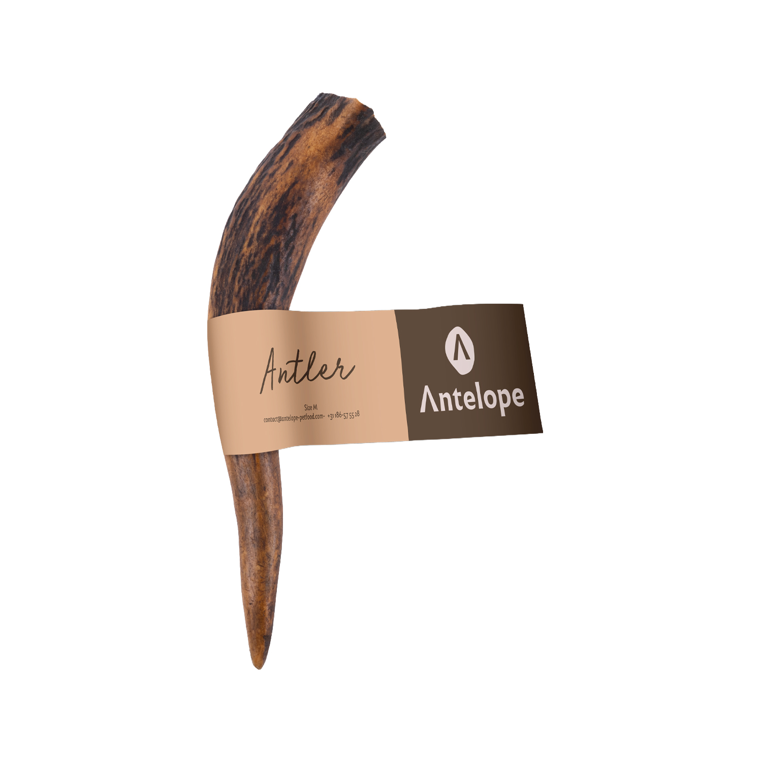 Antelope Antler Bois de cerf