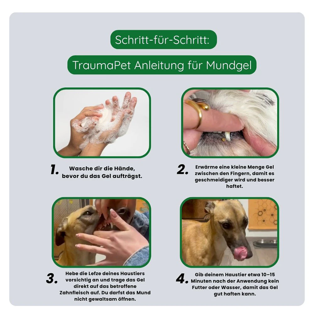 TraumaPet Mundgel