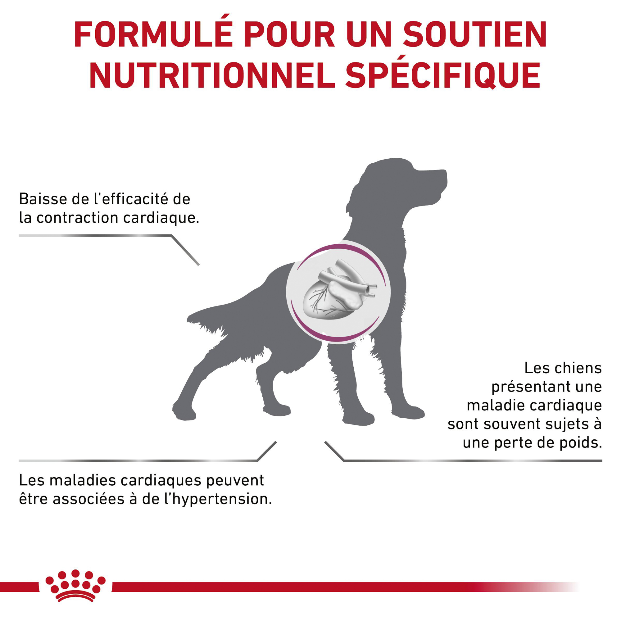 Royal Canin Cardiac Support Chien - Boîte