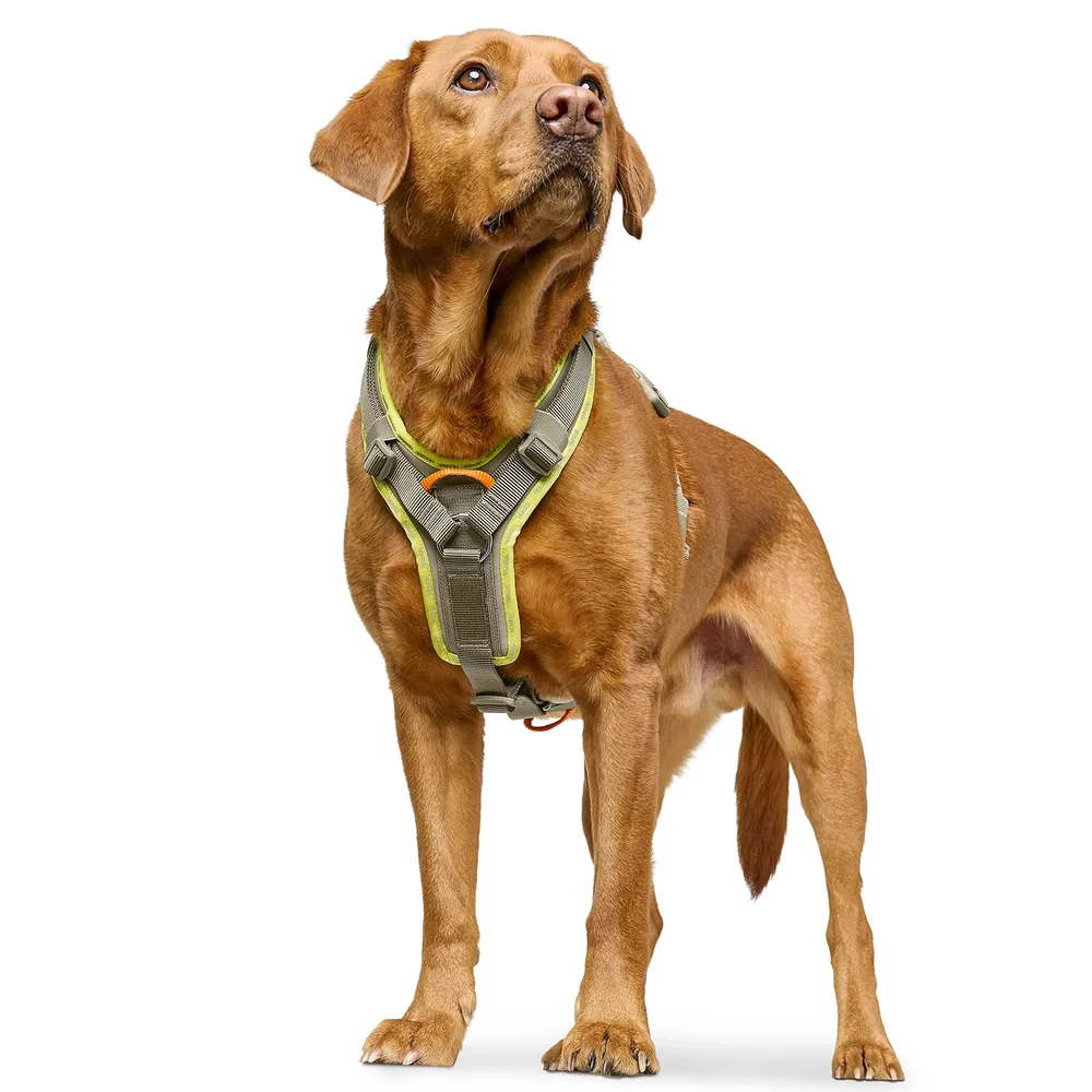 Hunter ErgoMove Pro Harness - Grigio verde - S-M