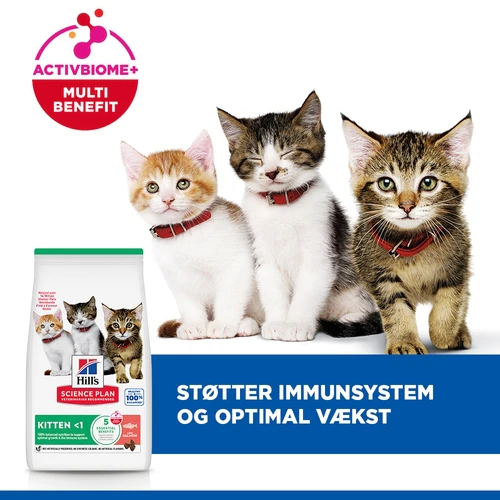 Hill's Science Plan - Kitten - Laks