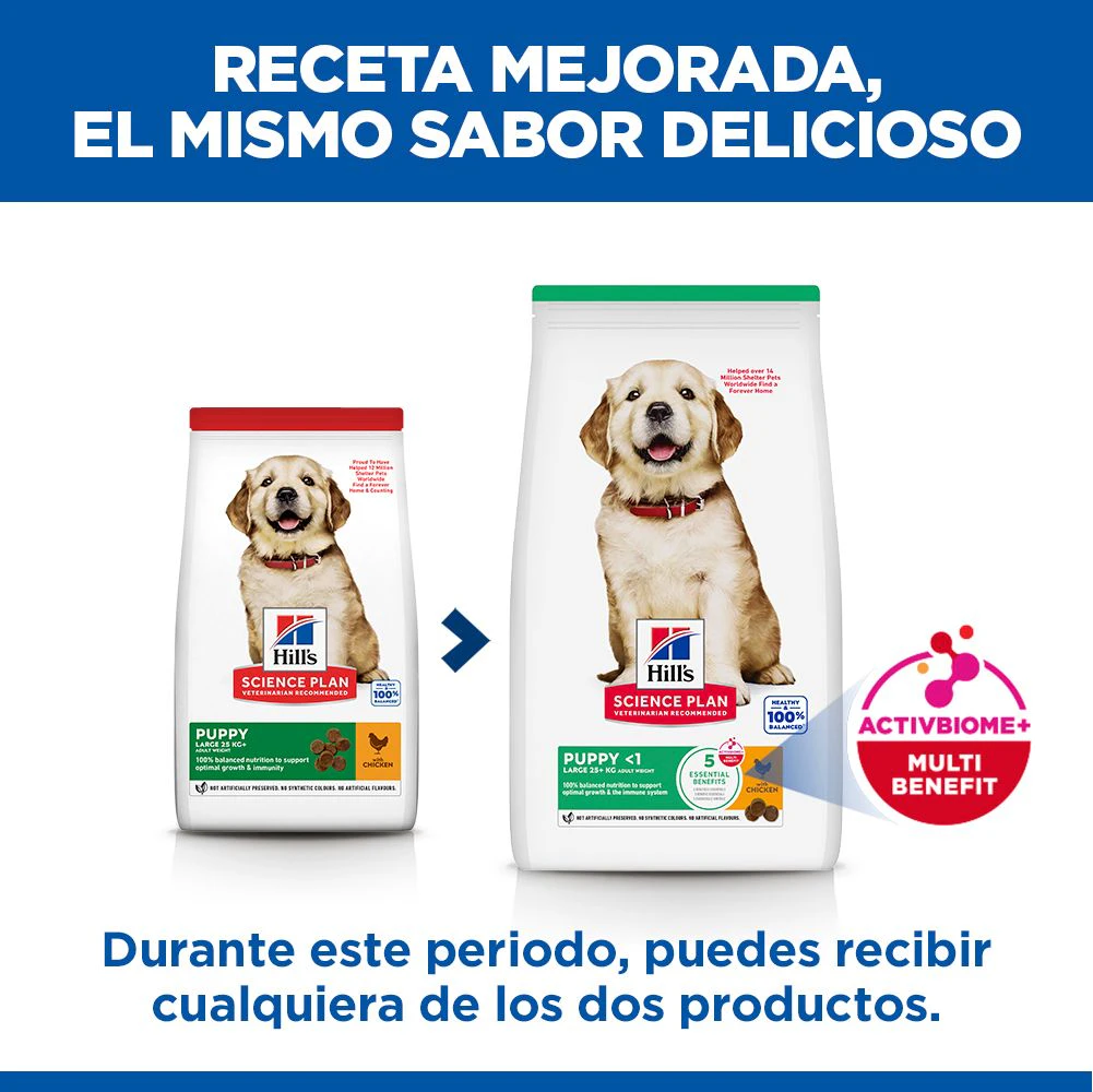 Hill's Science Plan - Large Breed - Puppy - Pollo
