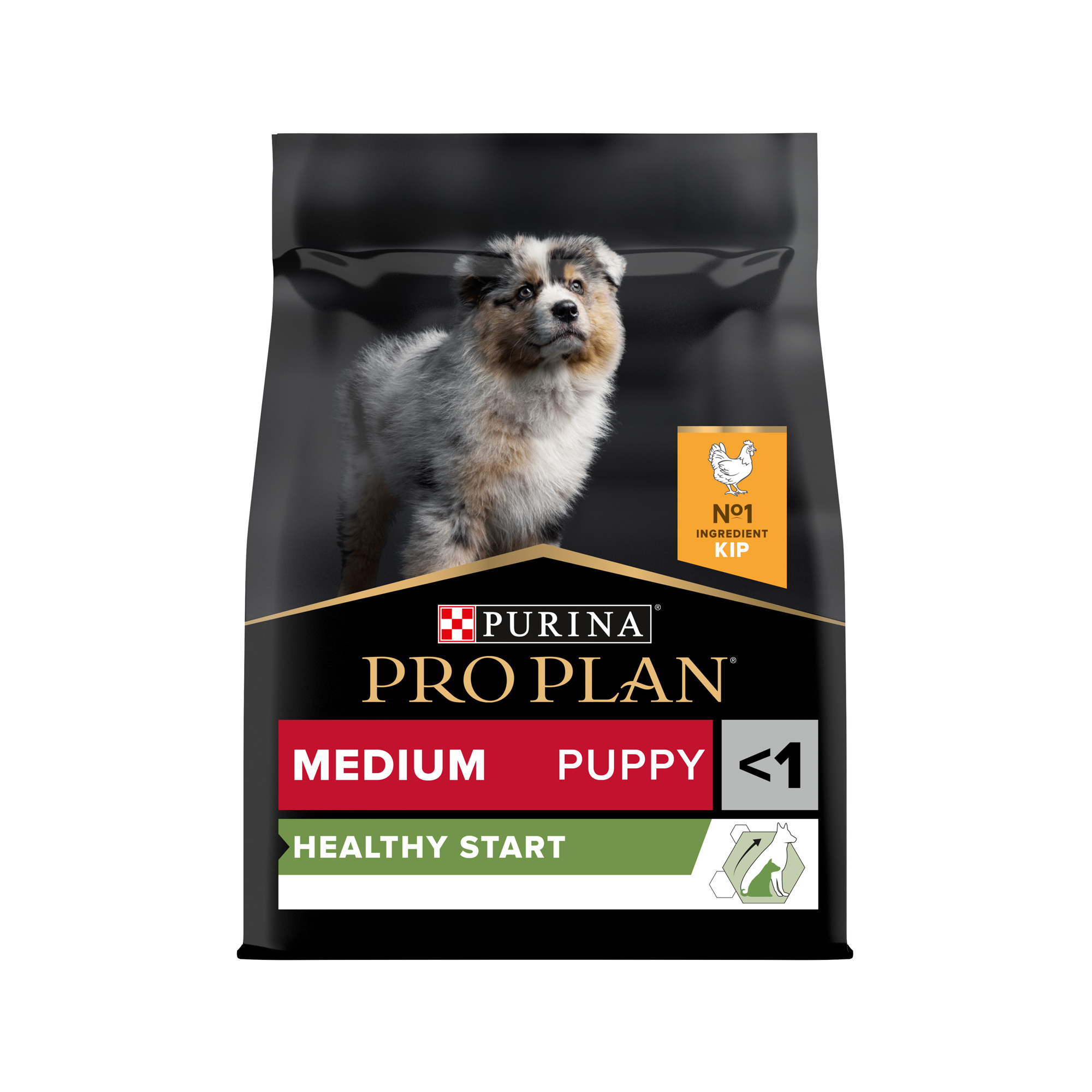 Purina Pro Plan Dog Medium Puppy Hundefutter