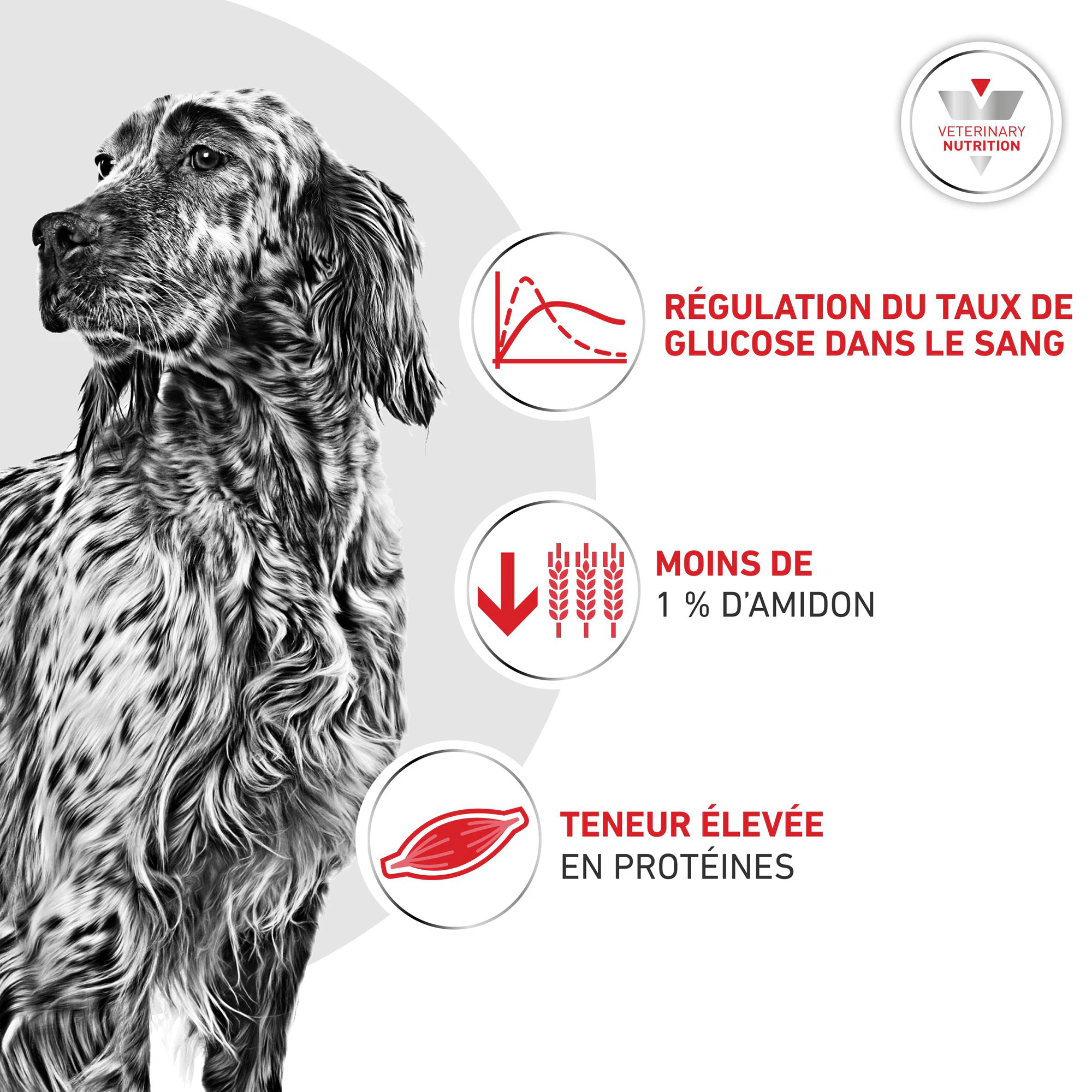 Royal Canin Glycobalance Chien - Boîte