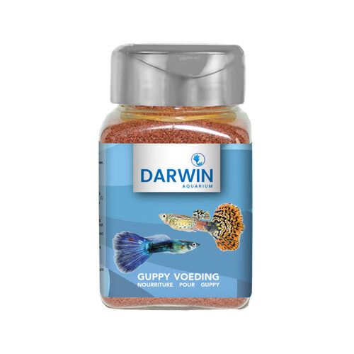 Darwin Guppy-Futter