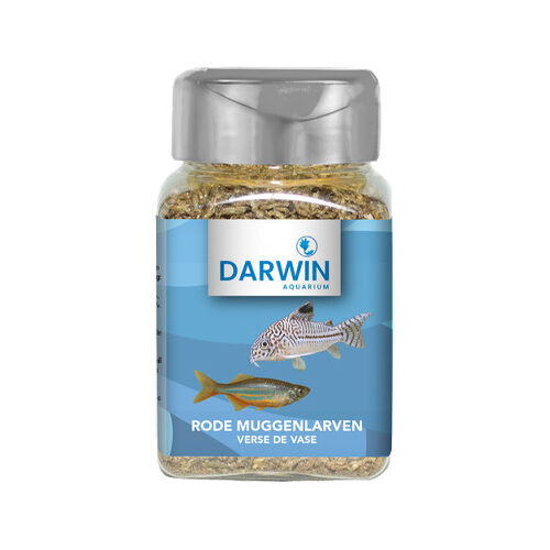 Darwin Rode muggenlarven