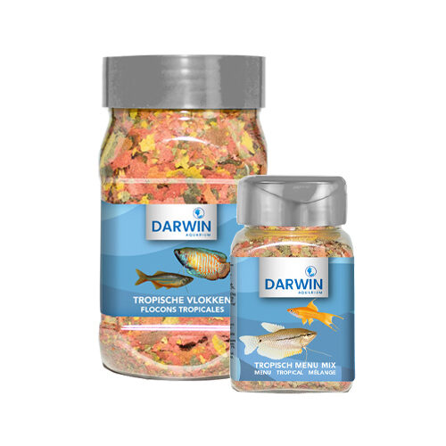 Darwin Tropische Flocken