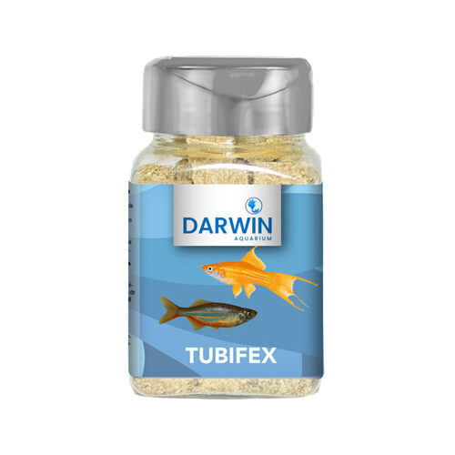 Darwin Tubifex