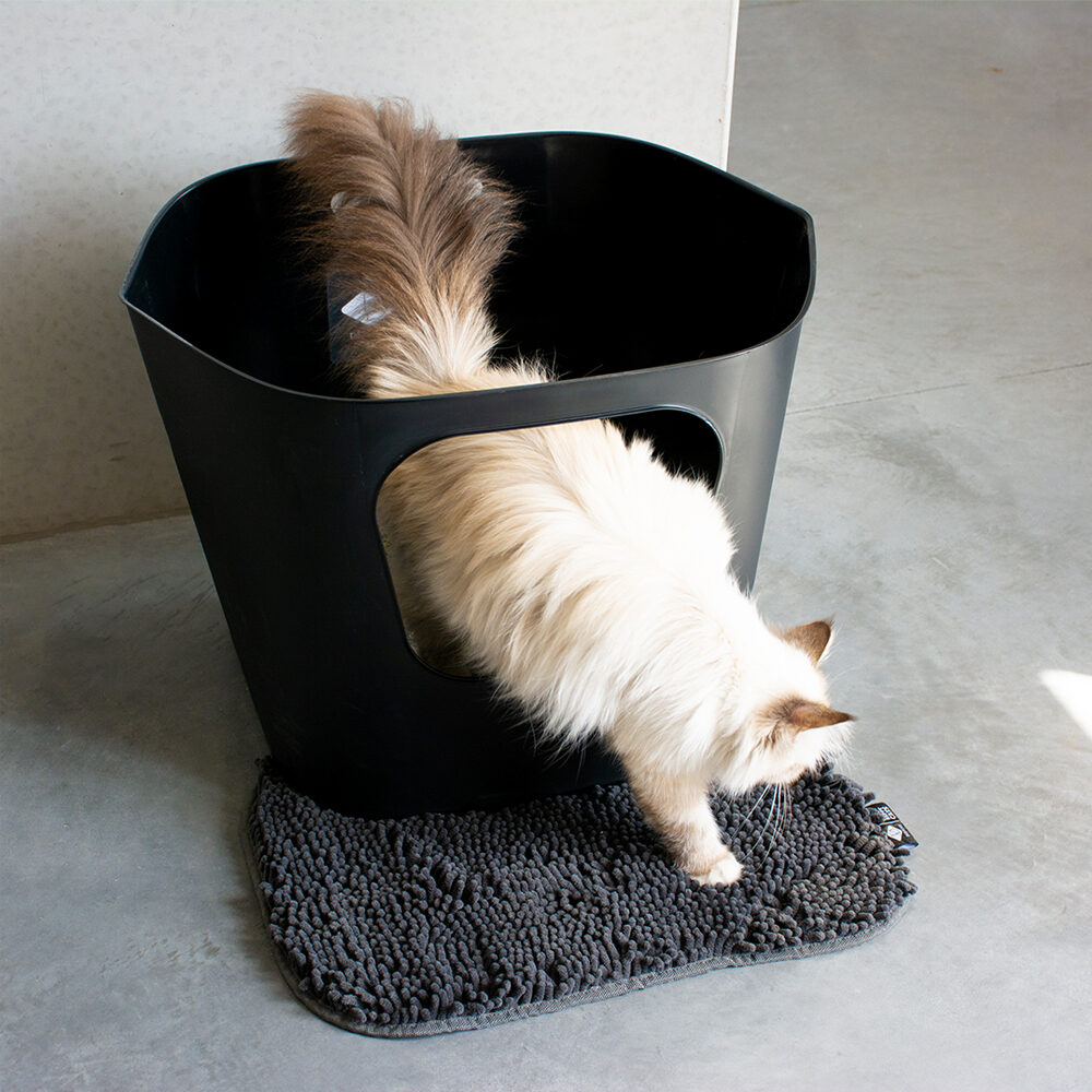 D&D Daisy Katzenstreu-Matte | Bestellen | Medpets.at