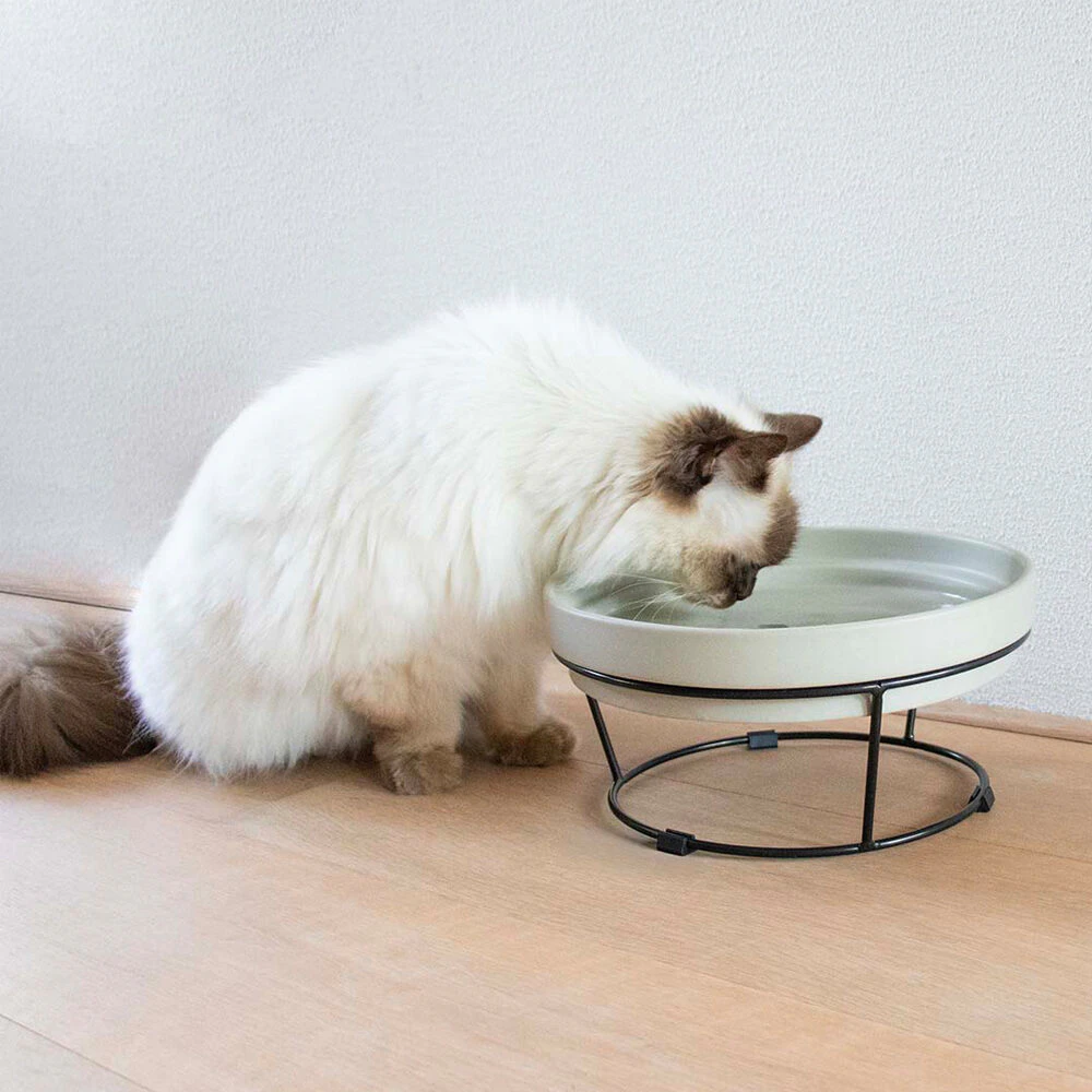 D&D Dash 2-in-1 Ständer für Sue & Ace